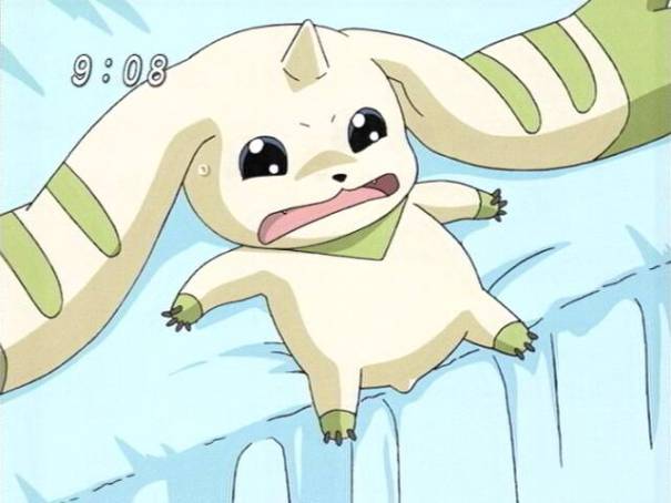 Zhuquaimon